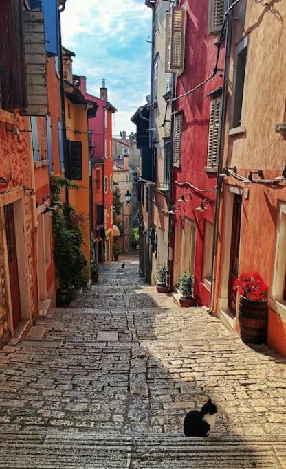 Little Heaven Apartment Rovinj Bagian luar foto