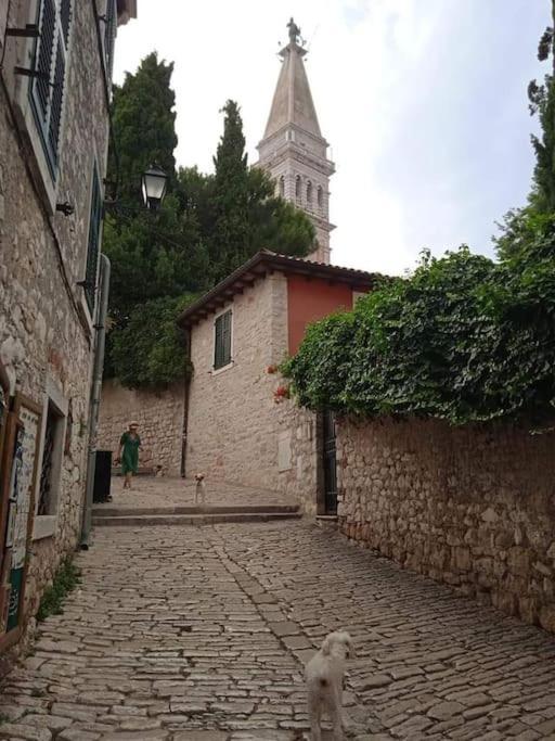 Little Heaven Apartment Rovinj Bagian luar foto